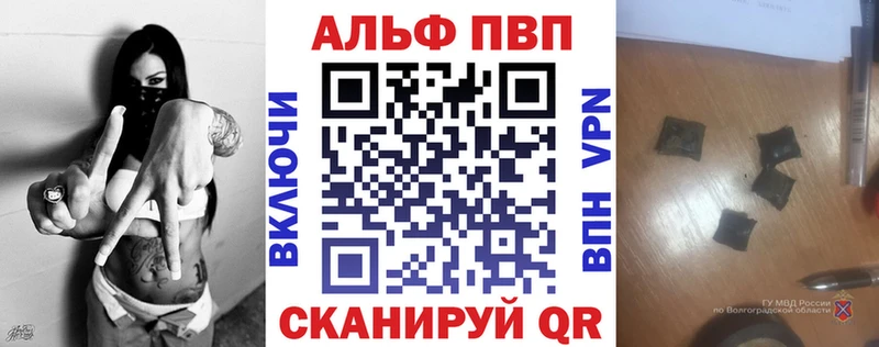 дарнет шоп  Невель  Alpha PVP СК 