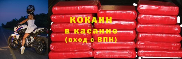 сатива Белокуриха