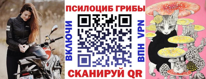 KRAKEN зеркало  Невель  Псилоцибиновые грибы Psilocybe 